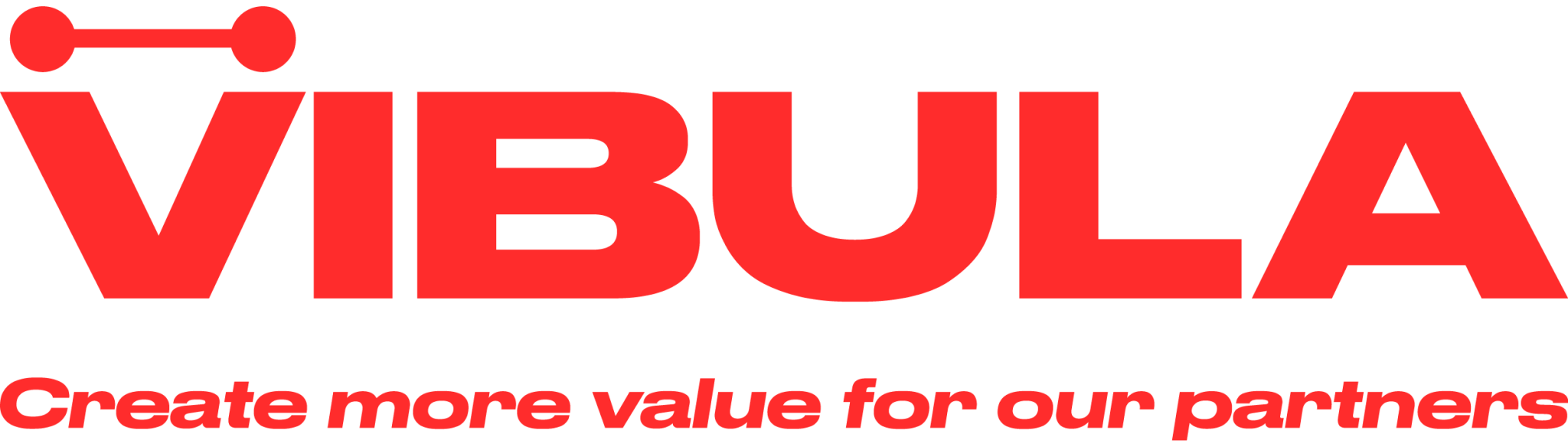 VIBULA logo