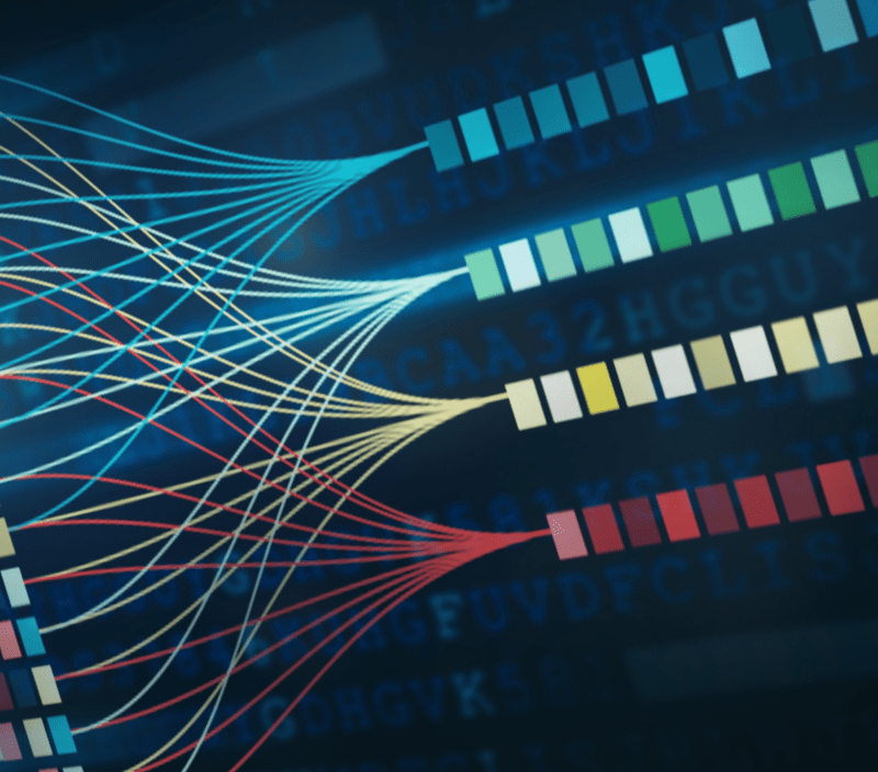 Driving Digital Transformation